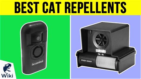 electric box to repel cats home depot|best cat repellent device.